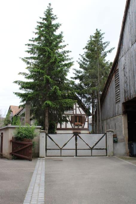Spacieux Duplex 1 A 6 Personnes Ebersheim Экстерьер фото